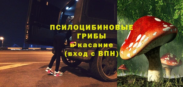 стаф Алексин