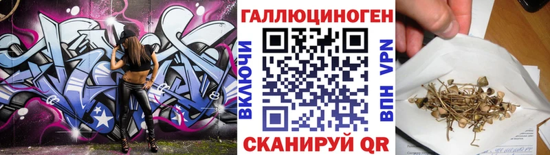 blacksprut рабочий сайт  Менделеевск  Псилоцибиновые грибы Psilocybine cubensis  купить наркотики цена 